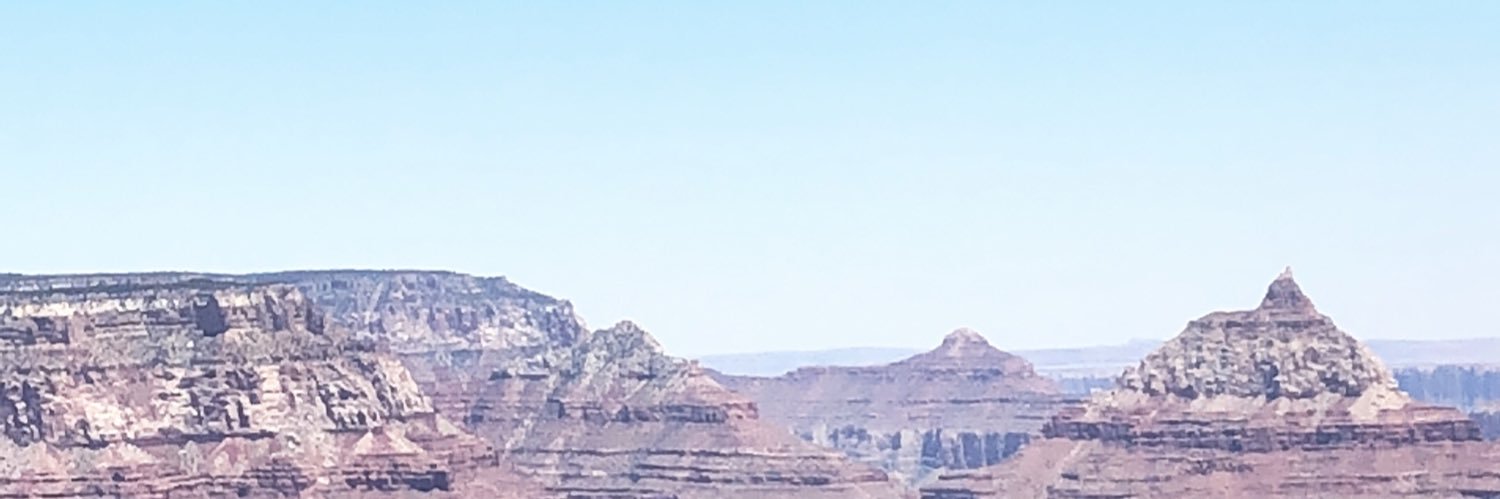 Bri Couz banner