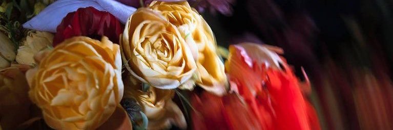 ale_witkamp's profile banner image