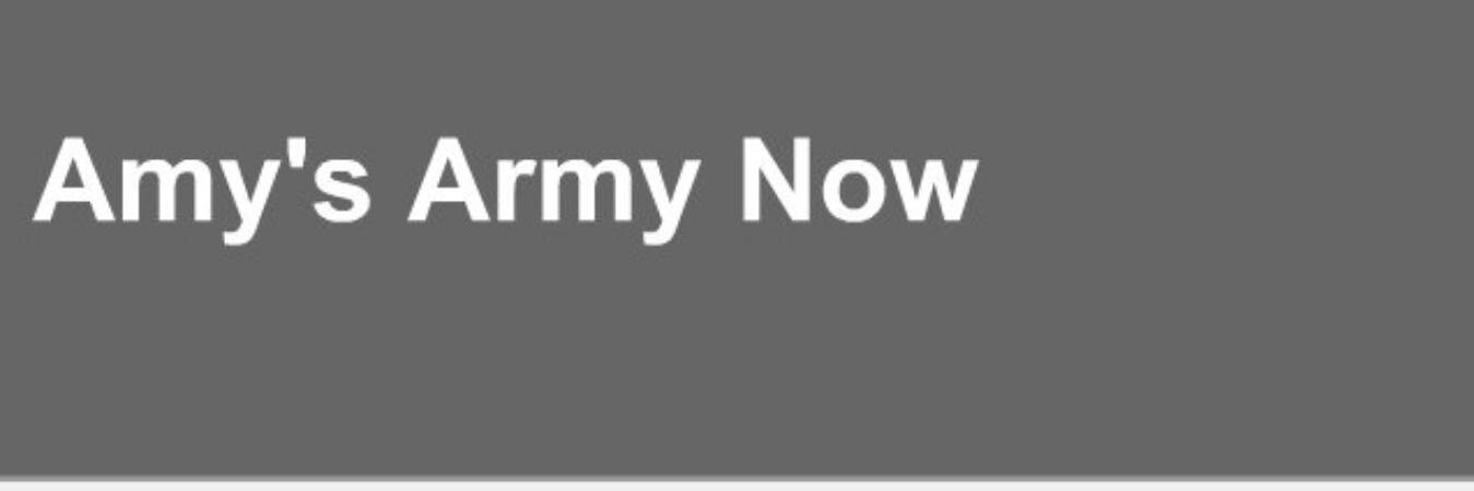 amysarmynow's profile banner image