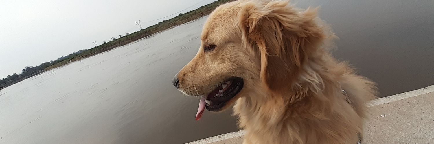 NachitoUbeda's profile banner image