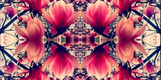 amandabrooke013's profile banner image