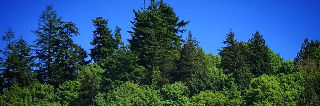 jcuaig89's profile banner image