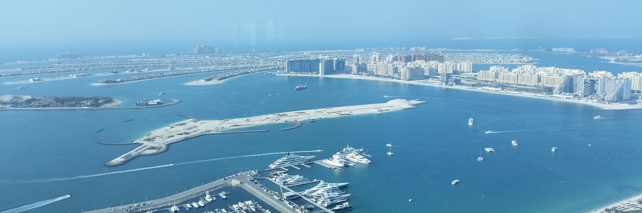 Mark O'Donnell banner