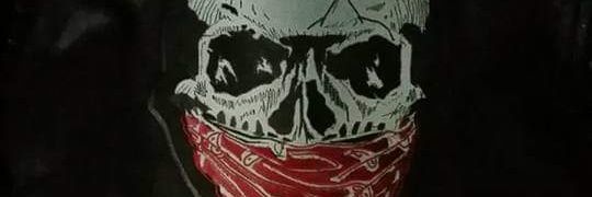 Robert Roth banner