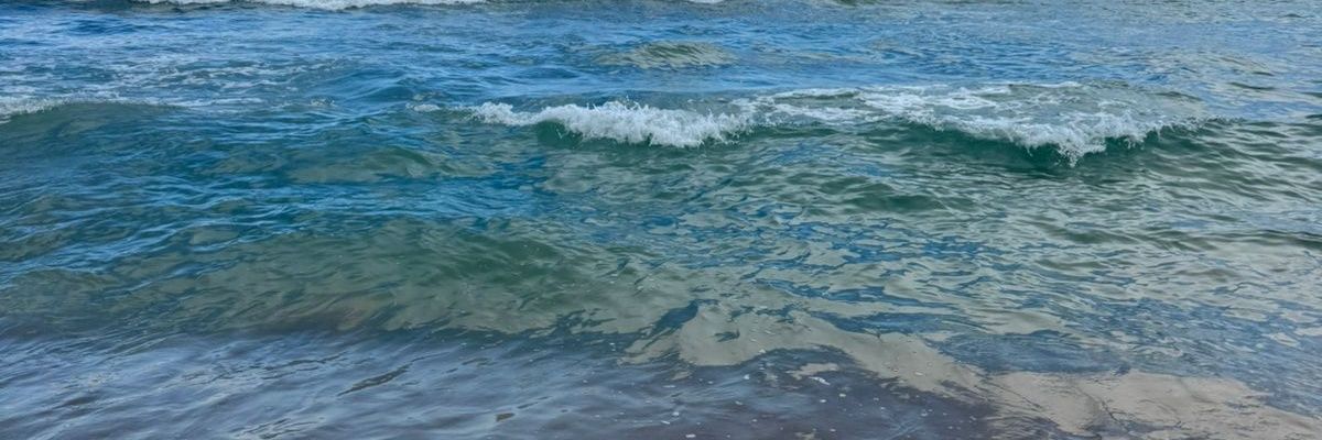 erickrossatto's profile banner image