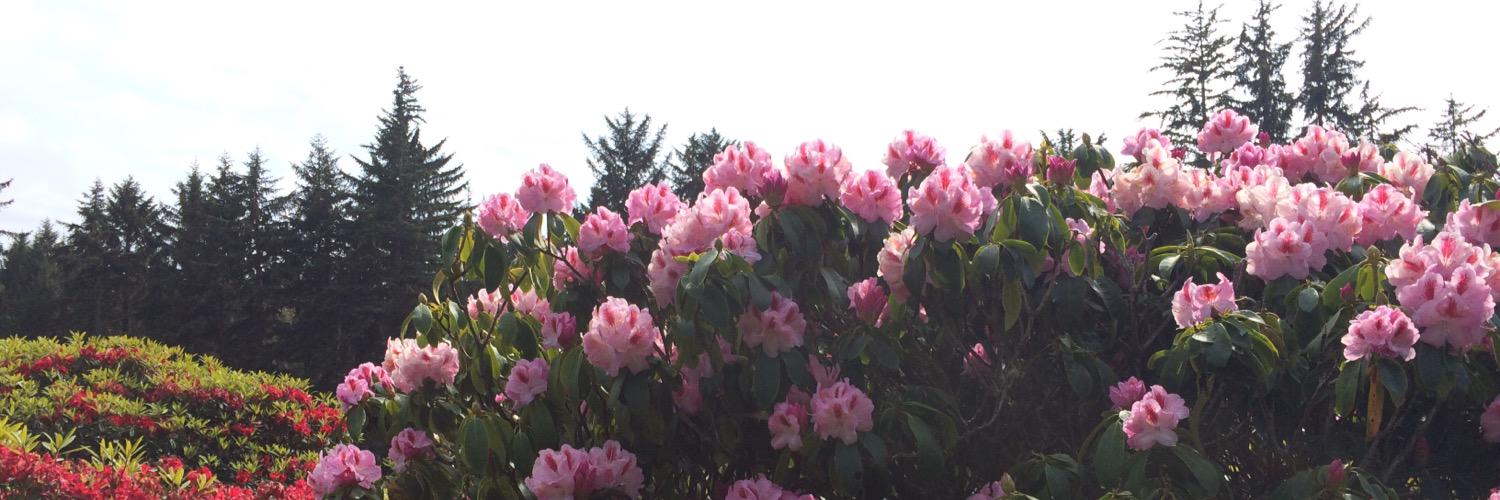moriahmac's profile banner image