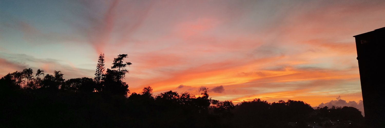 1sofi2's profile banner image