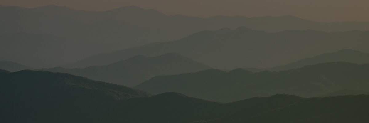 LifePointSC's profile banner image
