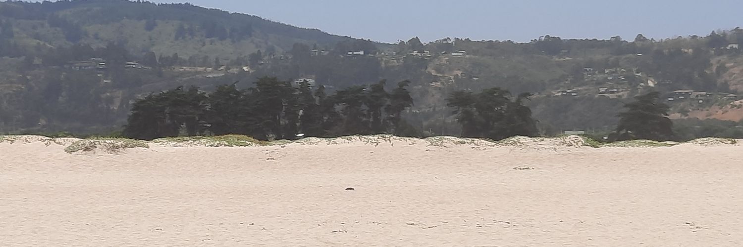 SergioDelCanto's profile banner image