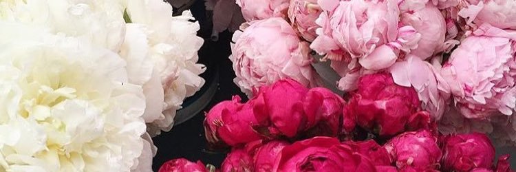 Asht0nDanielle's profile banner image