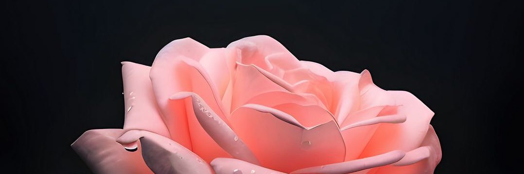 palmmise's profile banner image
