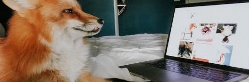 tchelovek_'s profile banner image