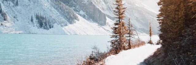 ShawnMasoumi's profile banner image