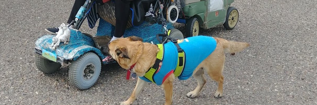 Marilyn tigerpuss Co banner