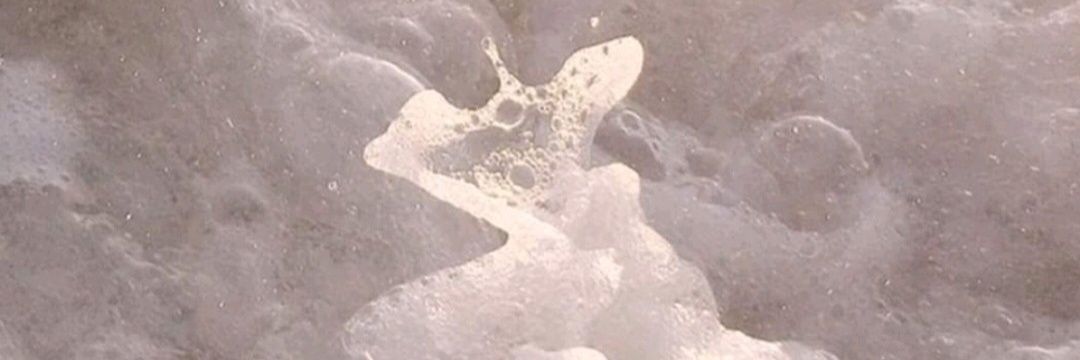 SargentoTorres_'s profile banner image