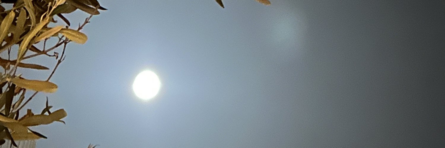 Isabel Raventós banner