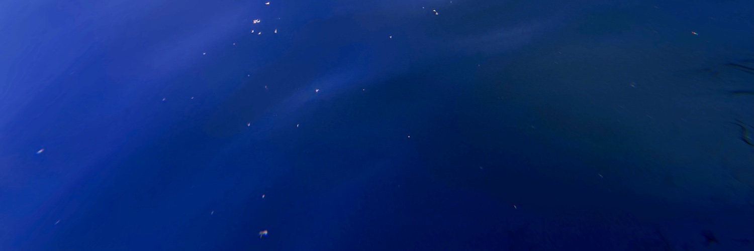 Lynne Brouwer banner
