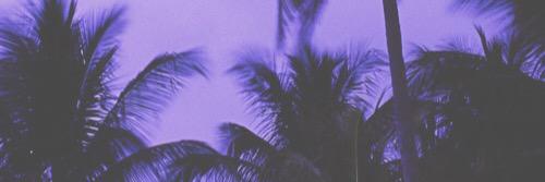 biebergeous's profile banner image