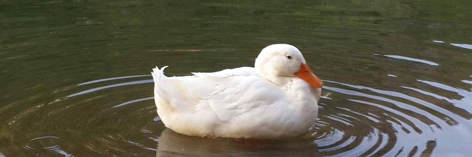 beyzaglyzc's profile banner image
