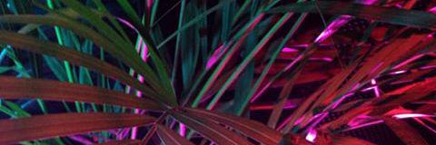 Letzy18's profile banner image