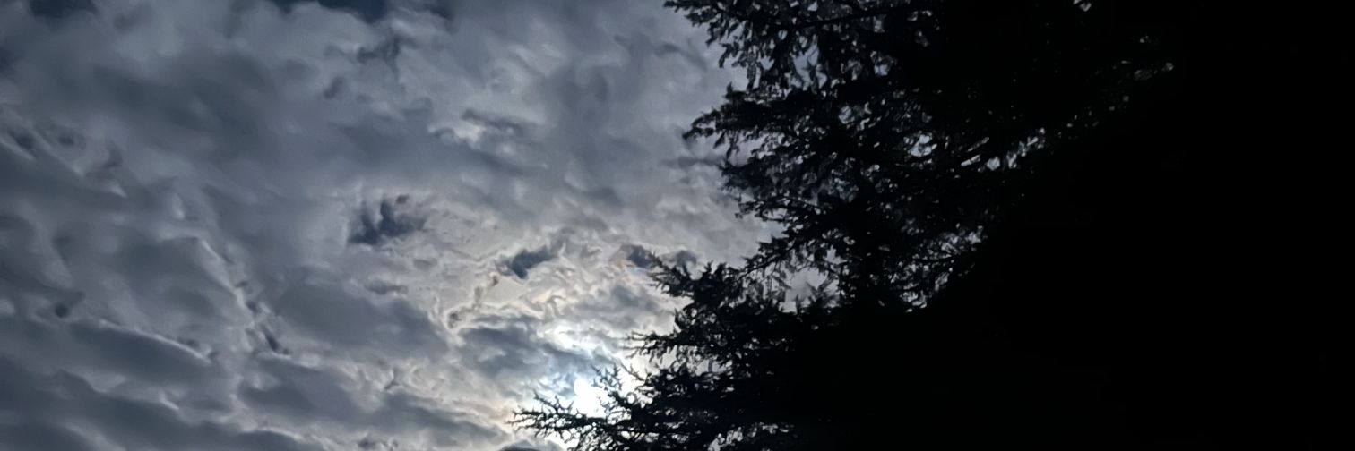 Myprecious_Sol's profile banner image