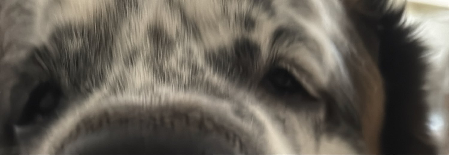 jhrz1's profile banner image