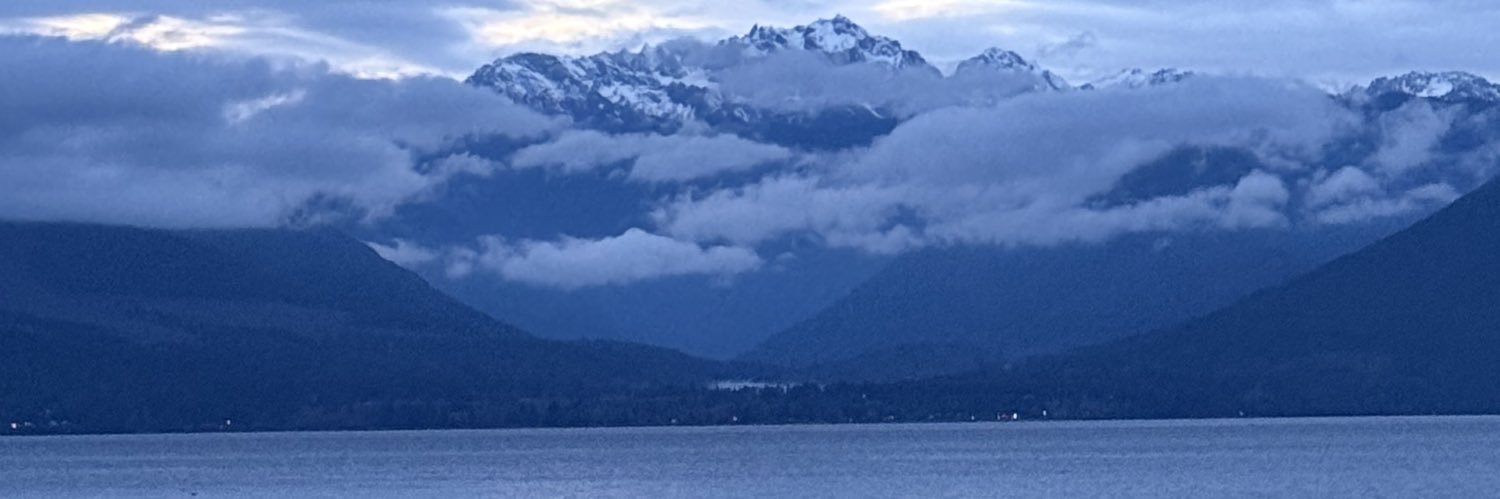 Theresa vera banner