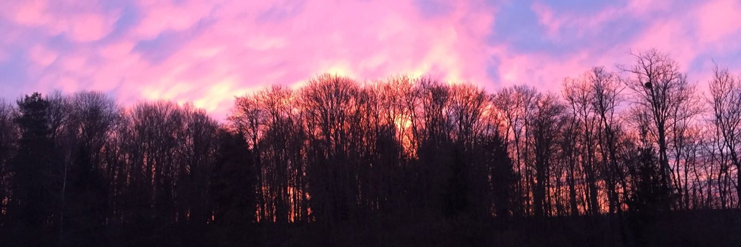 viedeshadow's profile banner image