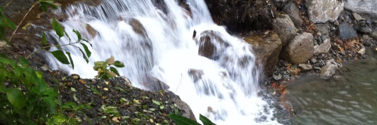 mansor4441's profile banner image