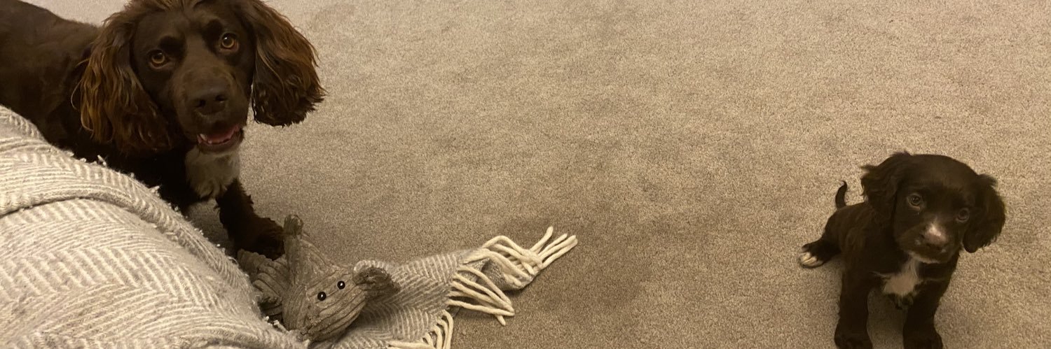 brace_gaines's profile banner image