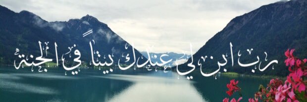 aisha_sf's profile banner image