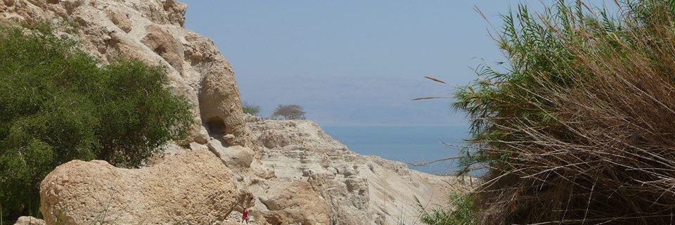 cnudelmann's profile banner image