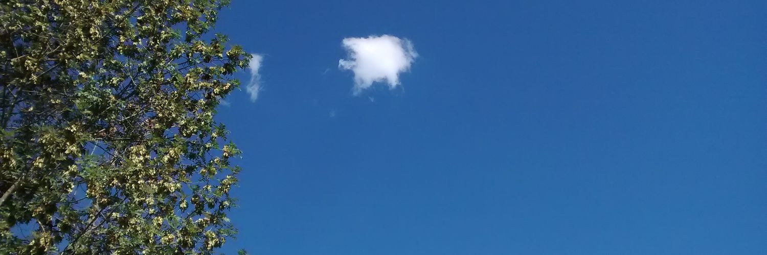 Cronxgrl's profile banner image