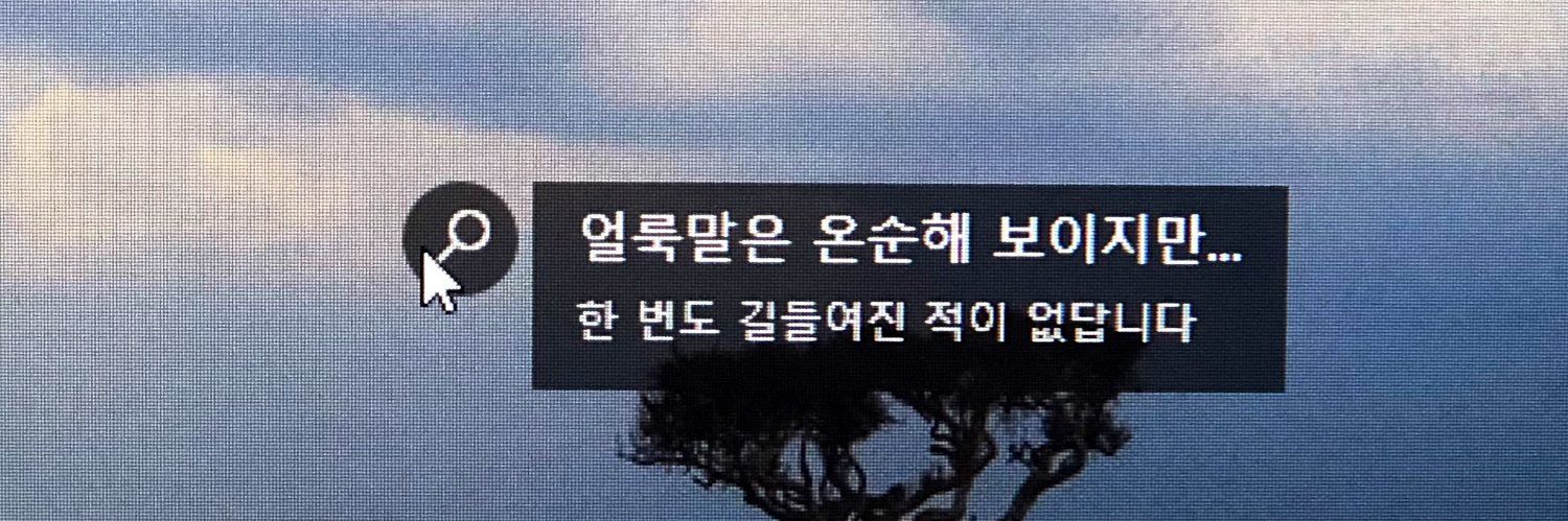 얼룩말 알렉스 banner