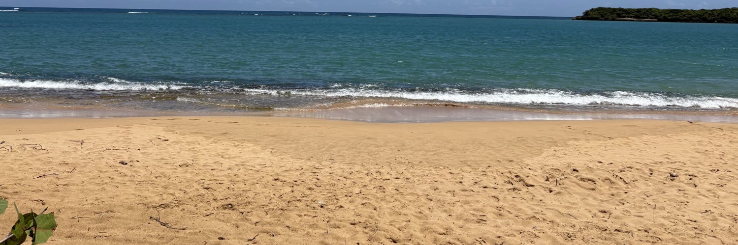 iraliz96's profile banner image