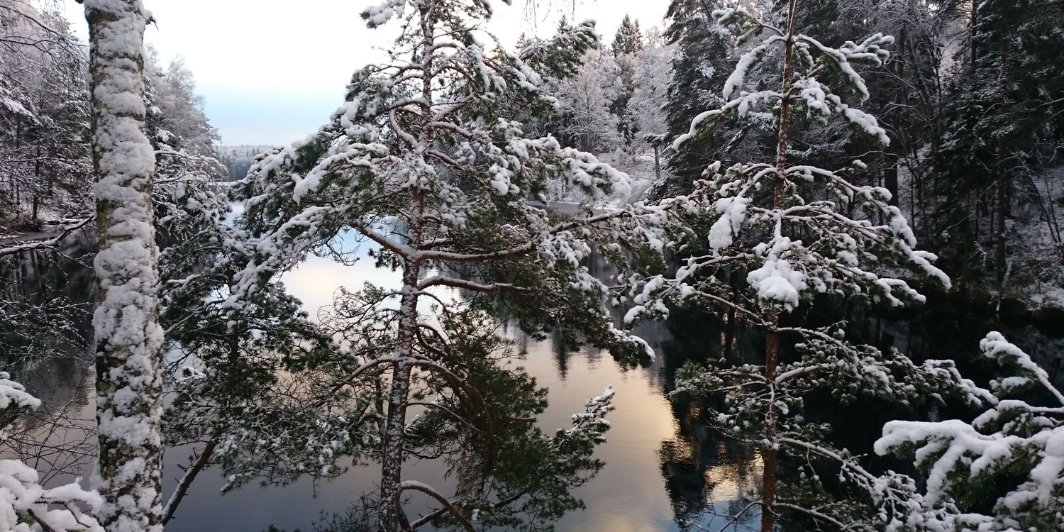 sebsamuelsson's profile banner image