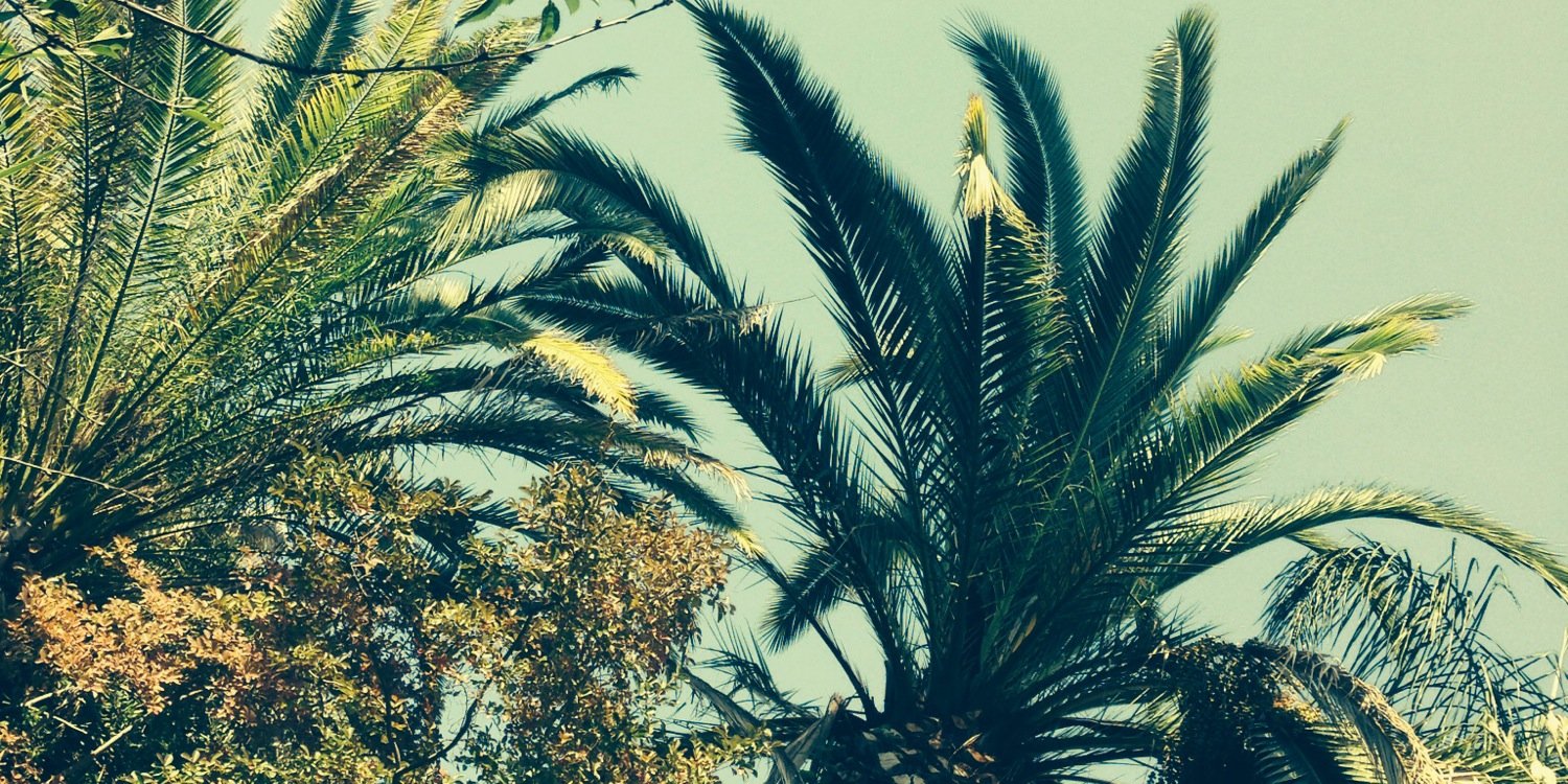 _Selenaaxx's profile banner image