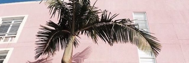 omgitsdaniii's profile banner image