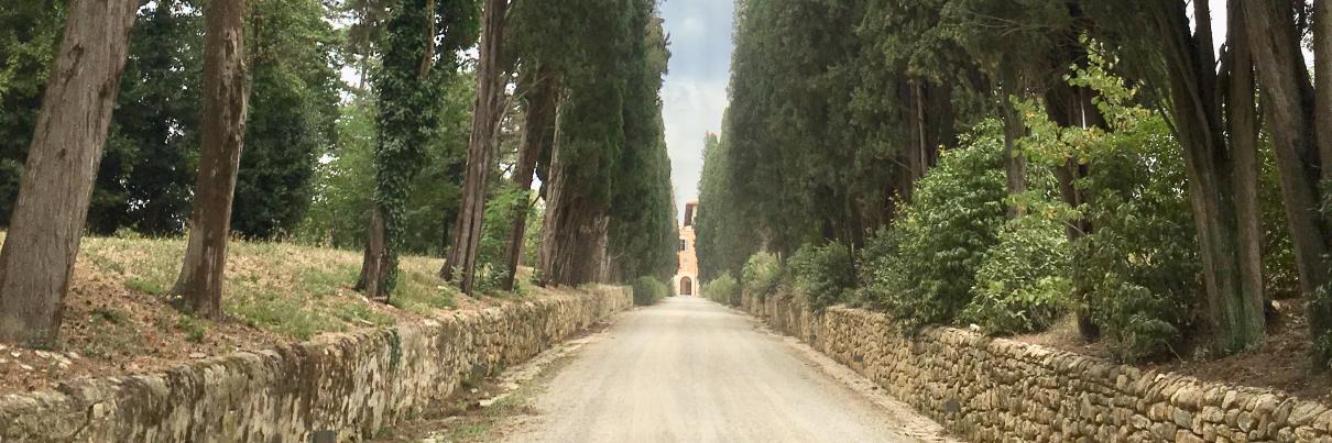 Michal Matlak banner