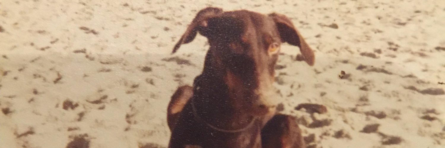 walstleo's profile banner image