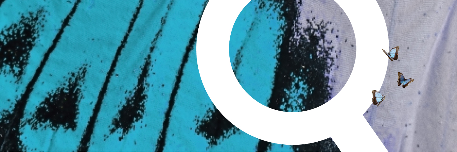 Psqm_HQ's profile banner image