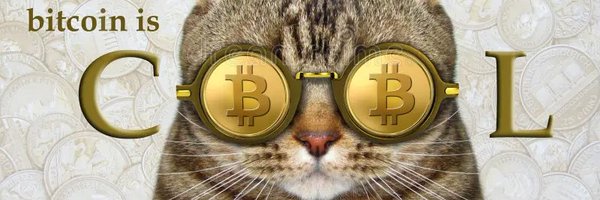 jintuisbusy Profile Banner