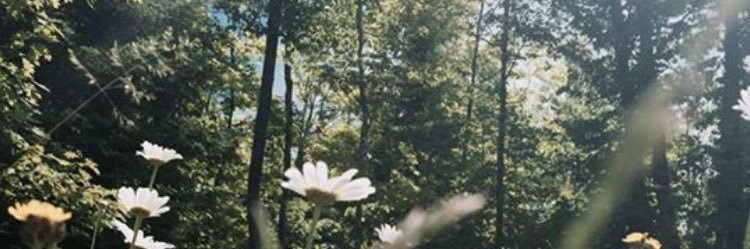 ashrose007's profile banner image
