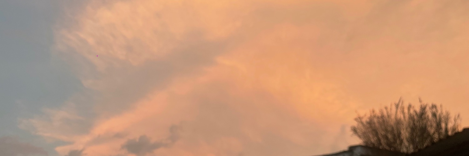 _campollo_'s profile banner image