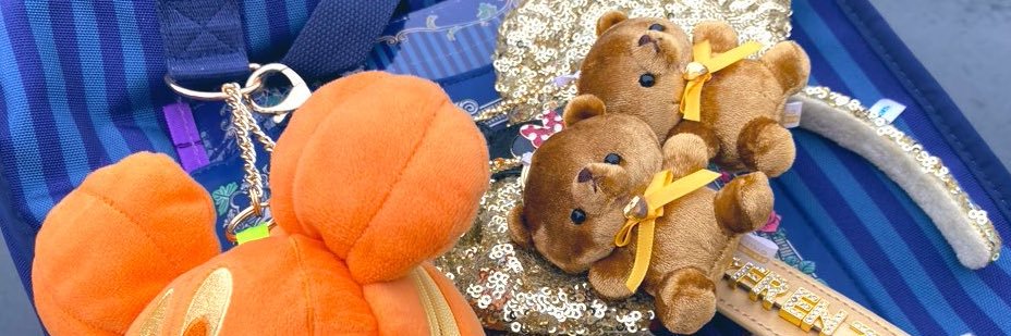 san_tdr's profile banner image