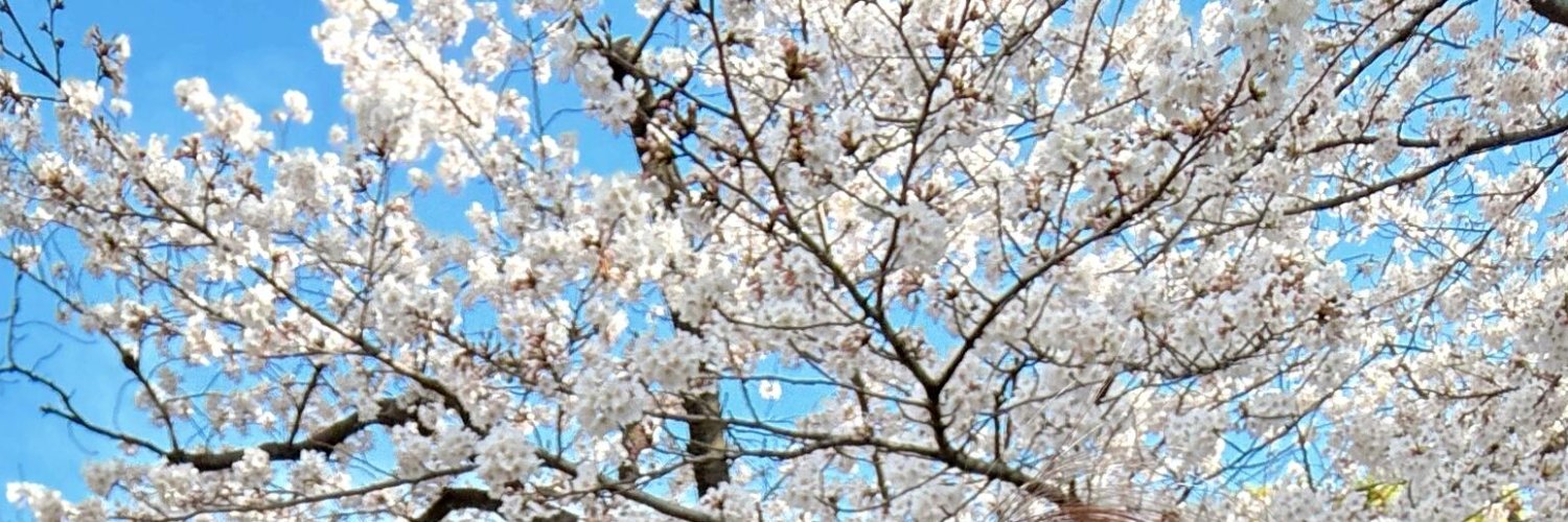 Gapeche's profile banner image