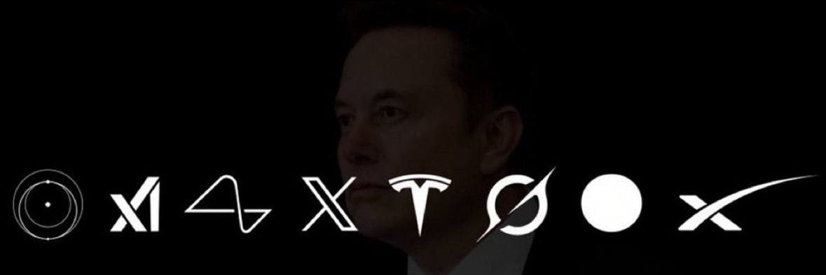 PARODY E.MUSK banner