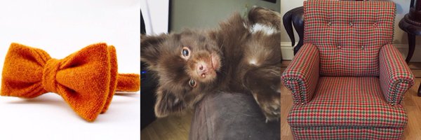 houseof_ralph Profile Banner