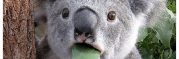 JSaucedo22's profile banner image