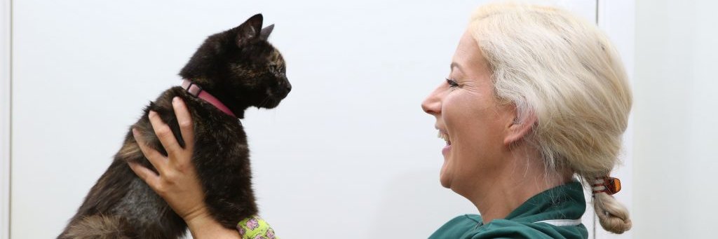 ChantryVets's profile banner image